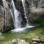 El Nido Del Mirlo *
