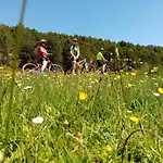 El Nido Del Mirlo Casarejos