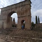El Nido Del Mirlo *