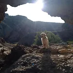El Nido Del Mirlo * Casarejos