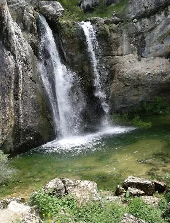 El Nido Del Mirlo *
