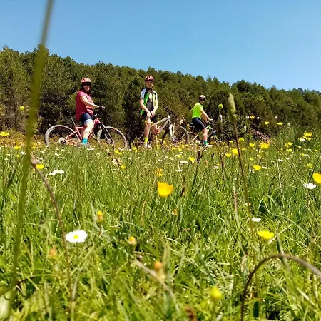 El Nido Del Mirlo Casarejos