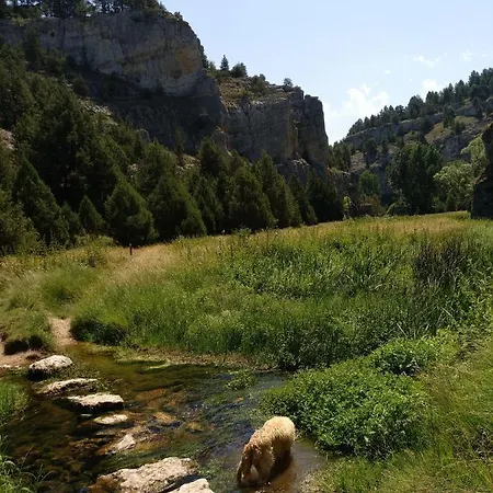 El Nido Del Mirlo
