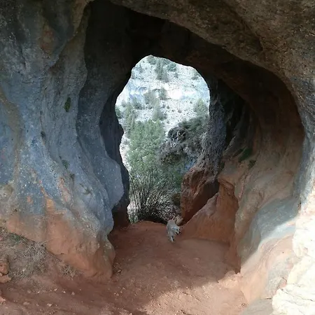 El Nido Del Mirlo