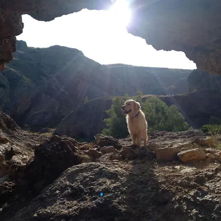 El Nido Del Mirlo * Casarejos