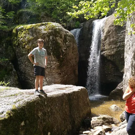 El Nido Del Mirlo Casarejos