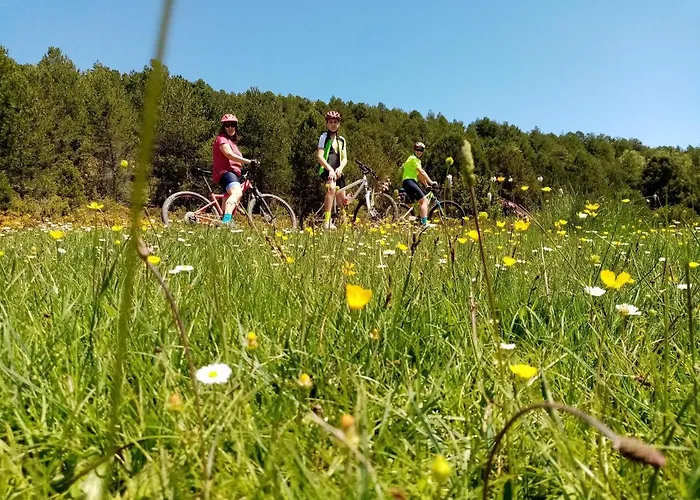 El Nido Del Mirlo Casarejos