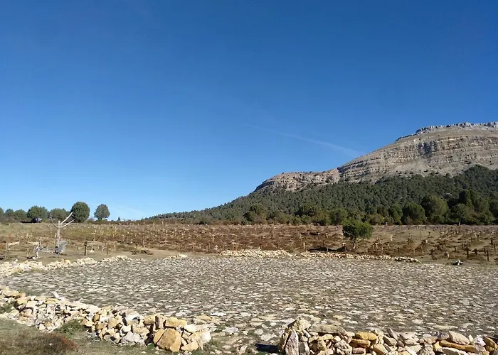 El Nido Del Mirlo בית כפרי