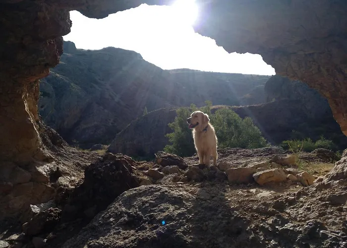 El Nido Del Mirlo * Casarejos