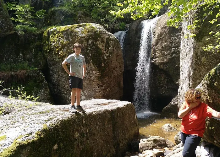 El Nido Del Mirlo Casarejos